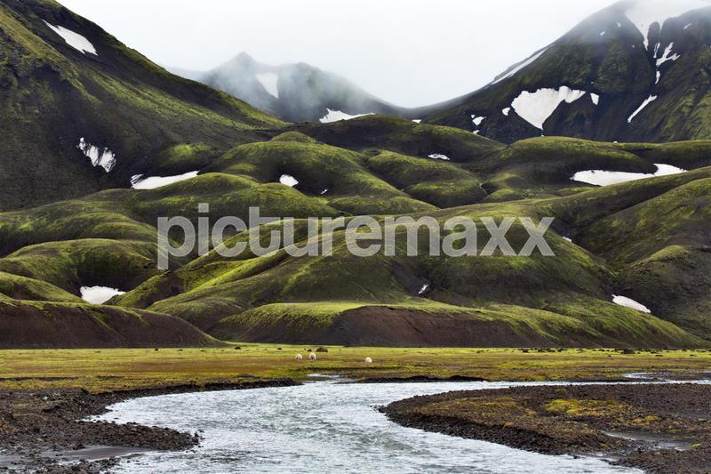 Beautiful and wild landscape of Iceland
