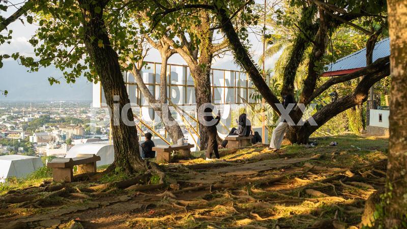 People relaxing under shade trees with scenic city view in golden sunlight, enjoying leisure time on benches at hillside park with urban skyline and mountain backdrop.