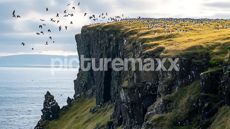 Landscapes