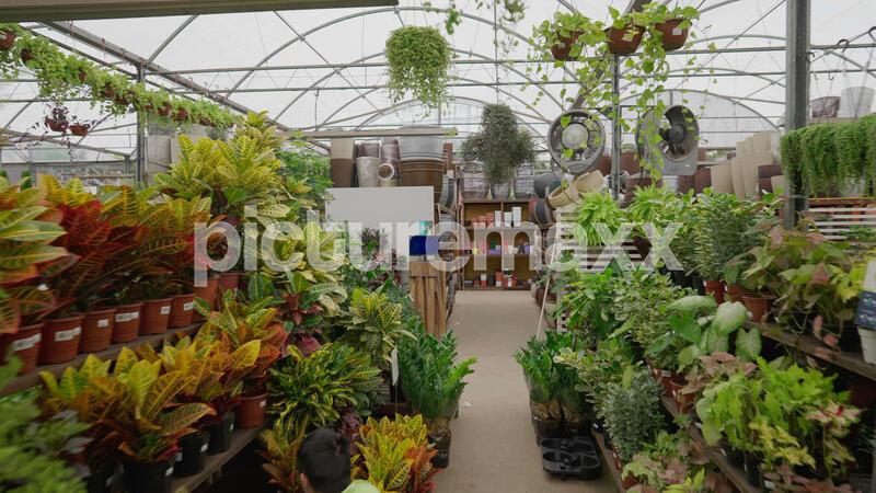 Interior of plant store. Local retail business of Flower Shop