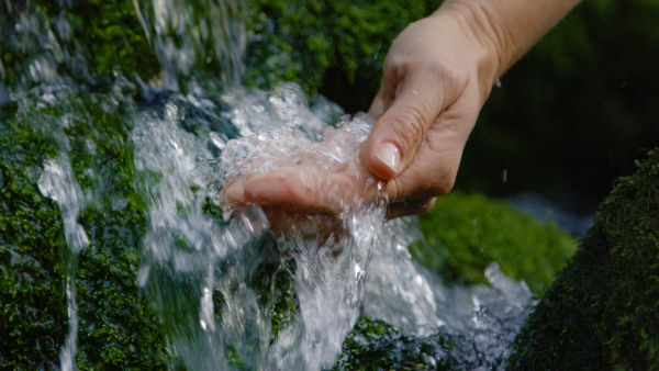 Close-up of a hand reaching into the water of a stream.