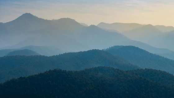Misty mountain landscape with trees