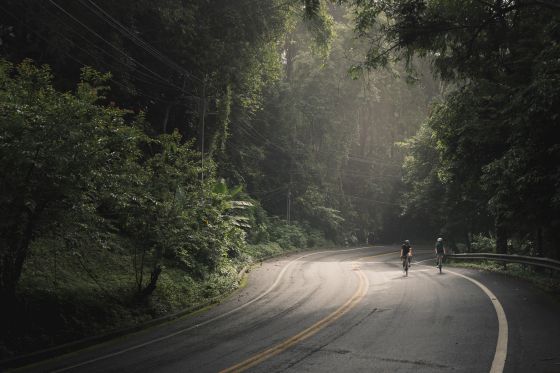 forest road cycling