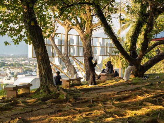 People relaxing under shade trees with scenic city view.