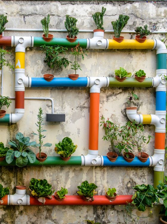 Urban Gardening, Malacca, Malaysia