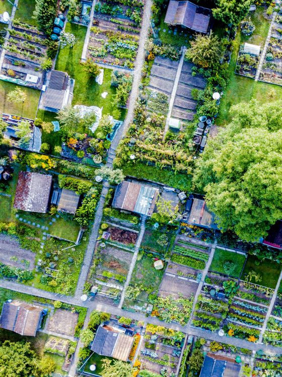 Aerial view of allotment in Switzerland