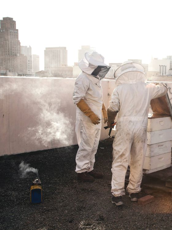 Urban Beekeeping