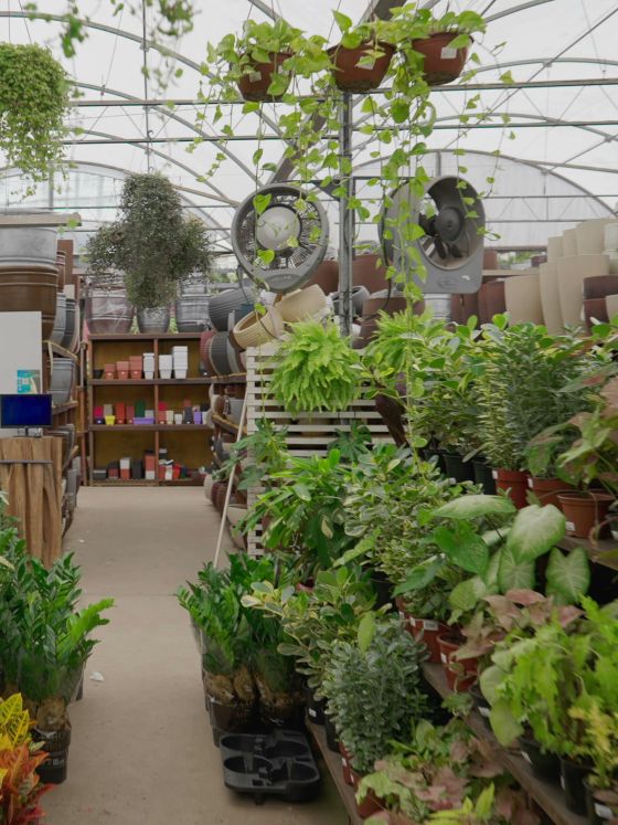 Interior of a plant store.