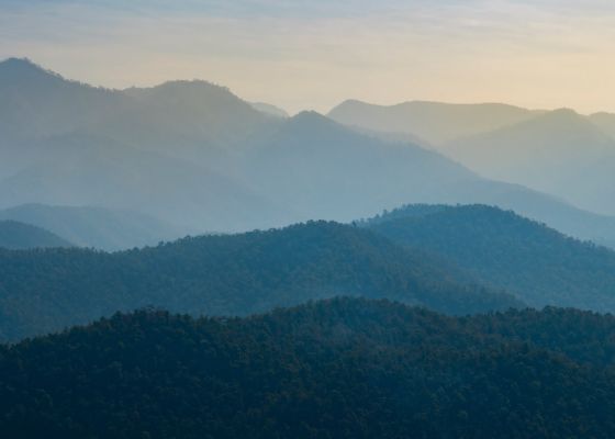 Misty mountain landscape with trees