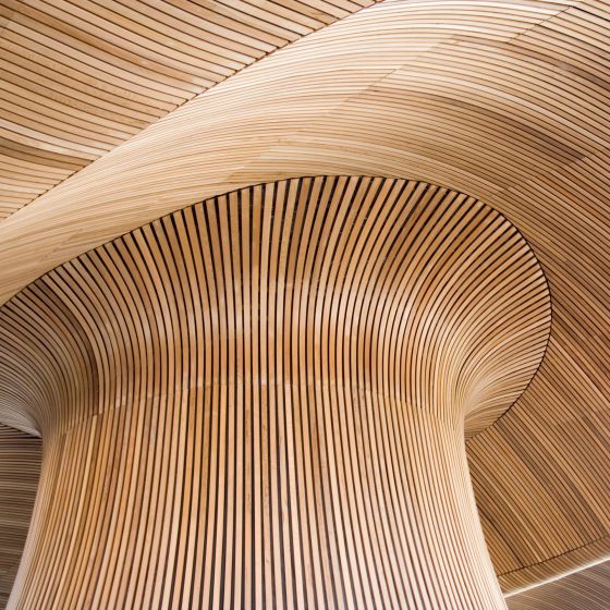 Detail of the Welsh Parliament.