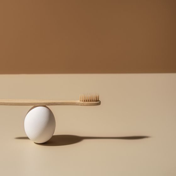 Balanced Egg and Tooth Brush