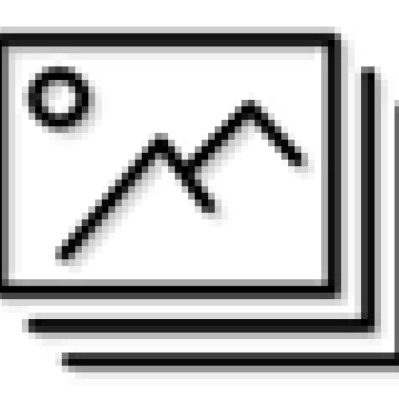 Bilder Icon